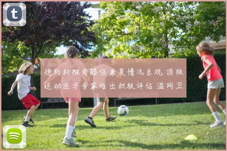 德约科维奇膝伤康复情况乐观 顶级运动医学专家给出积极评估 温网卫冕之旅或将如期上演