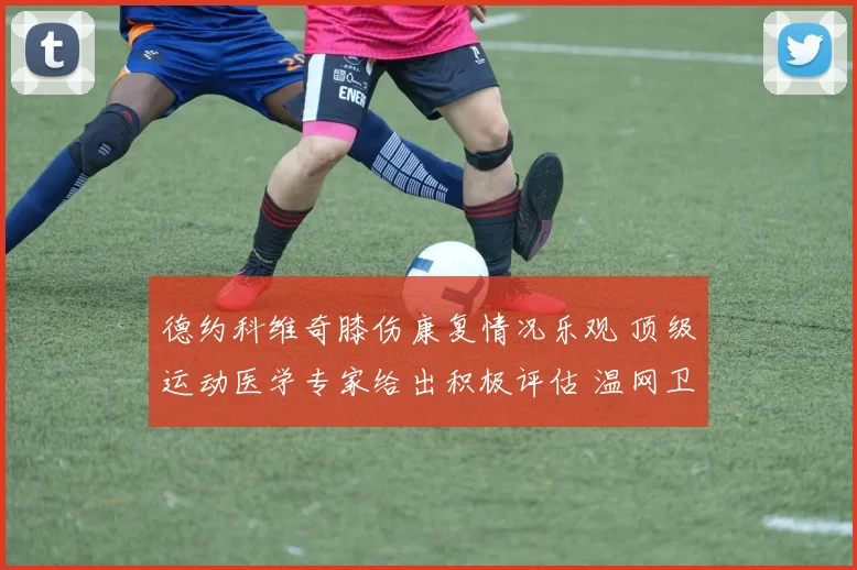 德约科维奇膝伤康复情况乐观 顶级运动医学专家给出积极评估 温网卫冕之旅或将如期上演